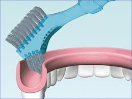 Moedig aan draagbaar Duplicaat Tandenborstel voor uw kunstgebit op zuignap - mijncomfortwinkel